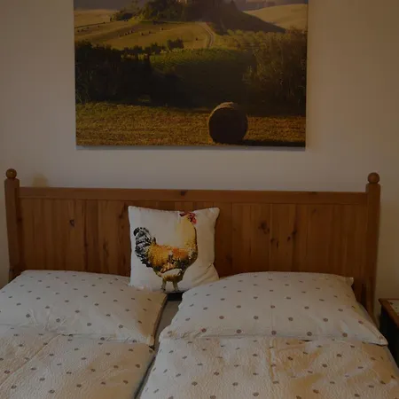 Statek U Kynosu - Apartma U Kohoutka * Hradec Králové