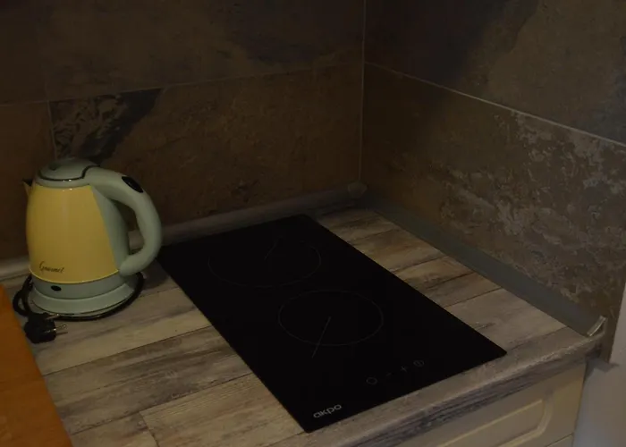 Gasthuis Statek U Kynosu - Apartma U Kohoutka Hradec Králové